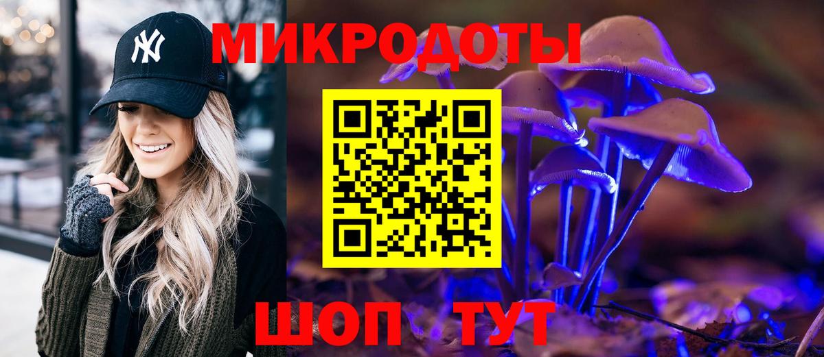 Псилоцибиновые грибы GOLDEN TEACHER Зерноград